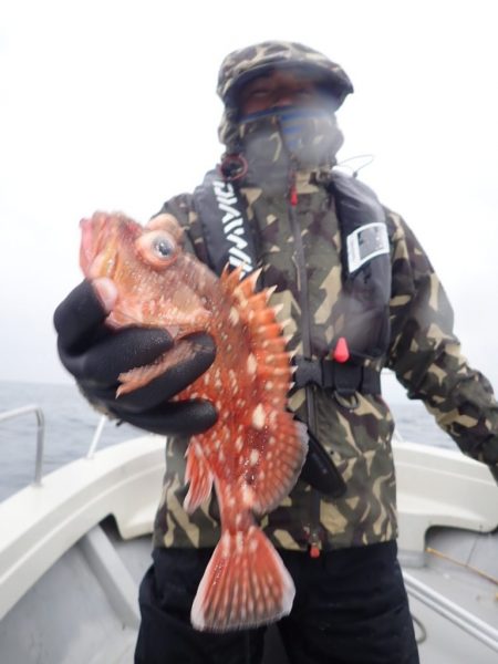 Aquanaut（アクアノート） 釣果