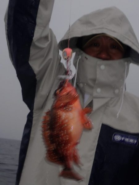 Aquanaut（アクアノート） 釣果