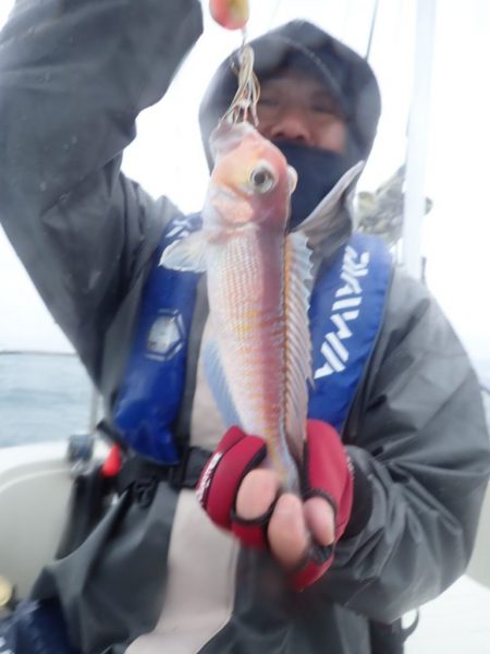 Aquanaut（アクアノート） 釣果