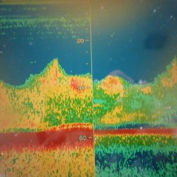 Aquanaut（アクアノート） 釣果