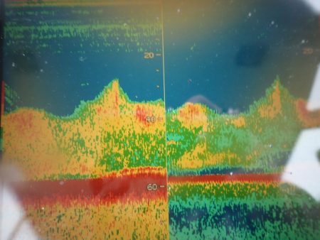 Aquanaut（アクアノート） 釣果