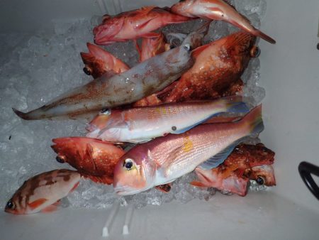 Aquanaut（アクアノート） 釣果