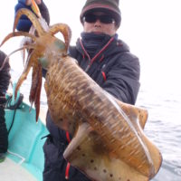 久勝丸 釣果