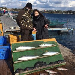 みうら海王 釣果
