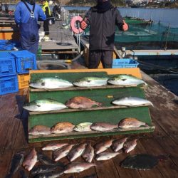 みうら海王 釣果