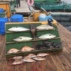 みうら海王 釣果