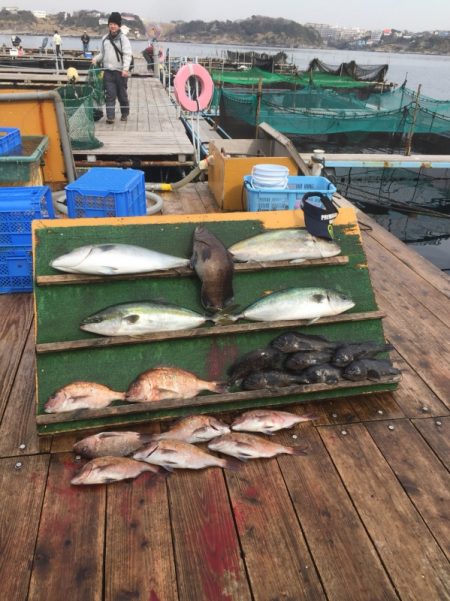 みうら海王 釣果