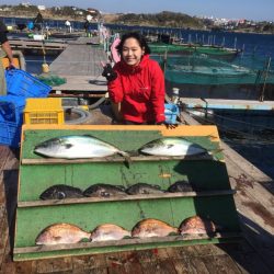 みうら海王 釣果