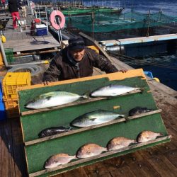 みうら海王 釣果
