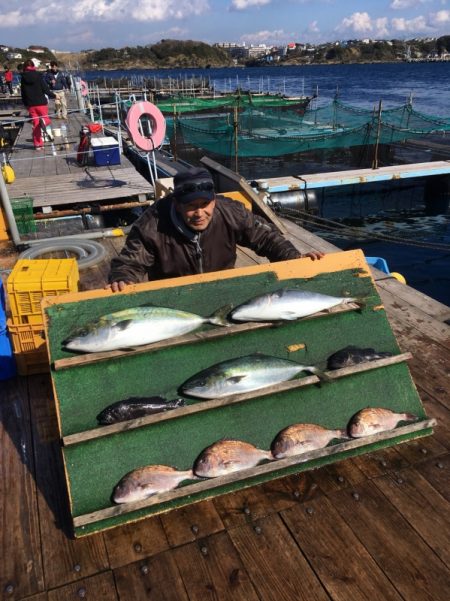 みうら海王 釣果