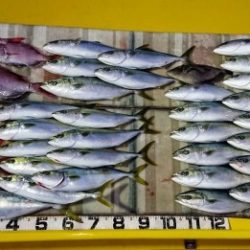 火遠理丸（ほおりまる） 釣果