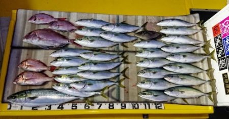 火遠理丸（ほおりまる） 釣果