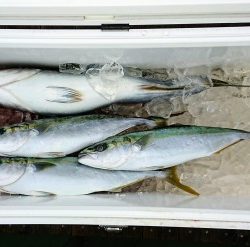 火遠理丸（ほおりまる） 釣果