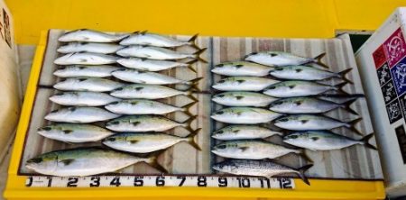 火遠理丸（ほおりまる） 釣果