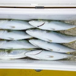 火遠理丸（ほおりまる） 釣果