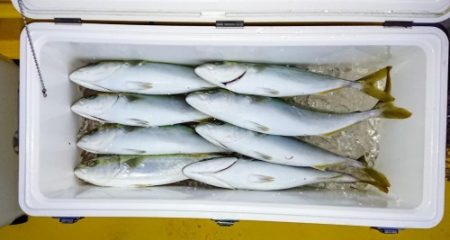 火遠理丸（ほおりまる） 釣果