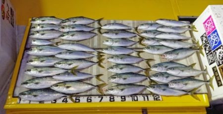 火遠理丸（ほおりまる） 釣果