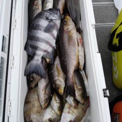 第二大福丸 釣果