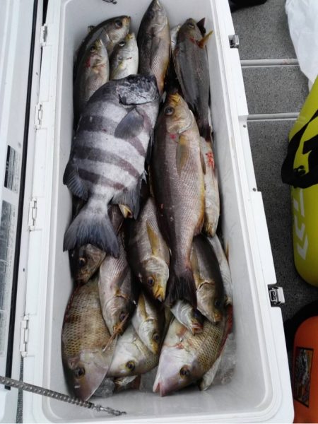 第二大福丸 釣果