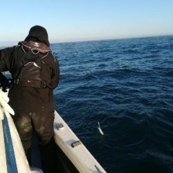 IDATEN(イダテン) 釣果