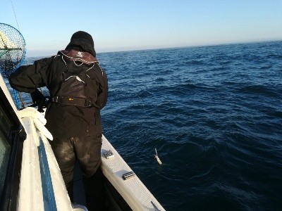 IDATEN(イダテン) 釣果