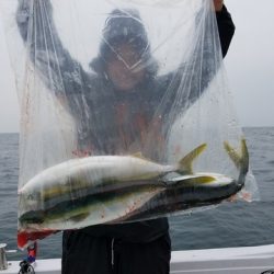 遊漁船　ニライカナイ 釣果