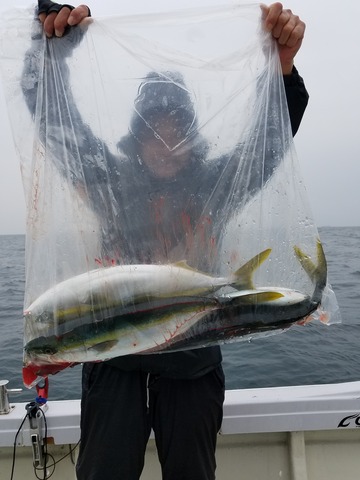 遊漁船　ニライカナイ 釣果