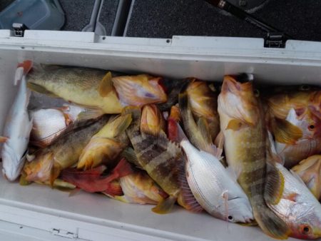 第二大福丸 釣果