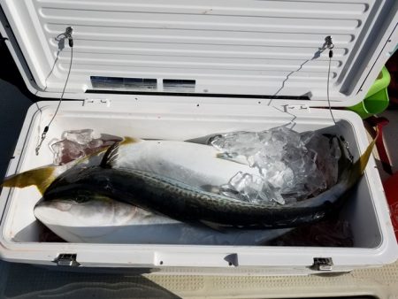 遊漁船　ニライカナイ 釣果