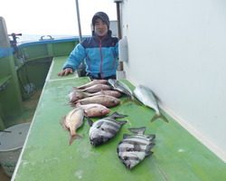 久里浜黒川本家 釣果