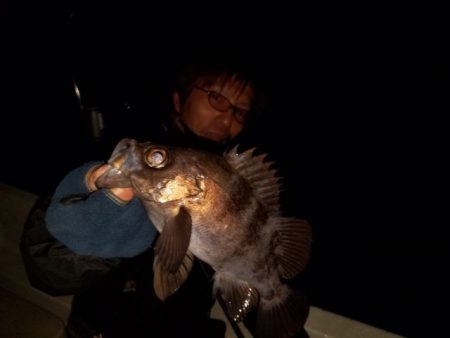 Magic（マジック） 釣果