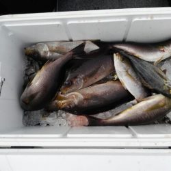 第二大福丸 釣果