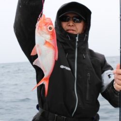 へいみつ丸 釣果