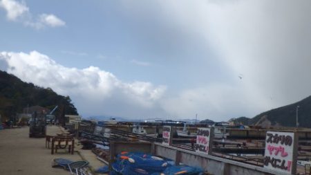 淡路じゃのひれフィッシングパーク 釣果