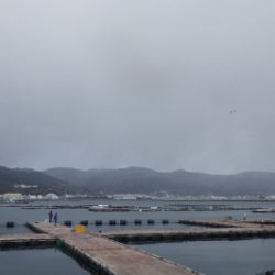 淡路じゃのひれフィッシングパーク 釣果