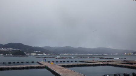 淡路じゃのひれフィッシングパーク 釣果