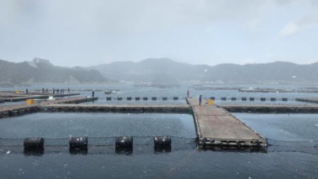 淡路じゃのひれフィッシングパーク 釣果