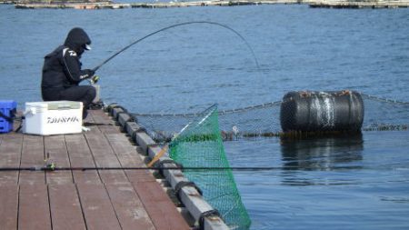 淡路じゃのひれフィッシングパーク 釣果
