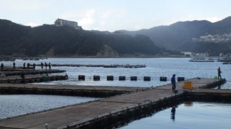 淡路じゃのひれフィッシングパーク 釣果