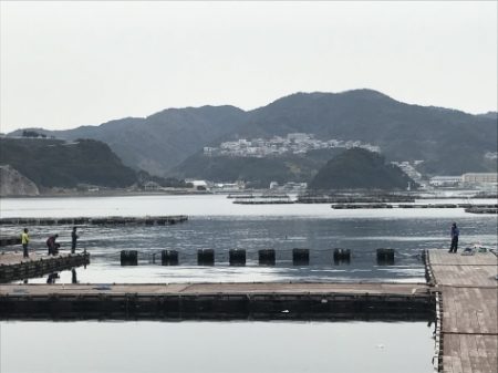 淡路じゃのひれフィッシングパーク 釣果