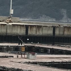 淡路じゃのひれフィッシングパーク 釣果