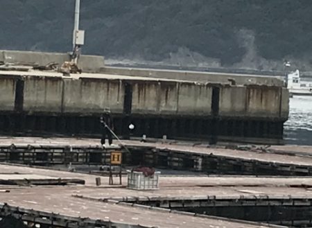 淡路じゃのひれフィッシングパーク 釣果