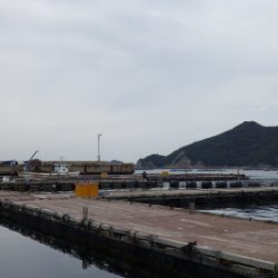 淡路じゃのひれフィッシングパーク 釣果