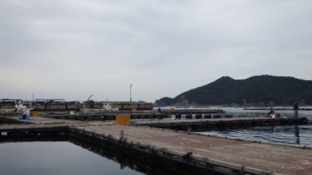 淡路じゃのひれフィッシングパーク 釣果