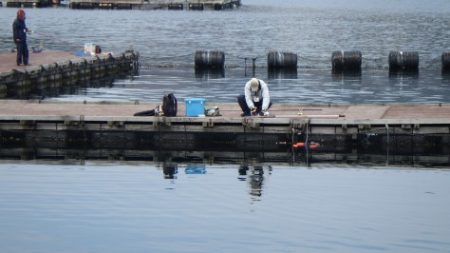 淡路じゃのひれフィッシングパーク 釣果