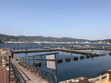 淡路じゃのひれフィッシングパーク 釣果