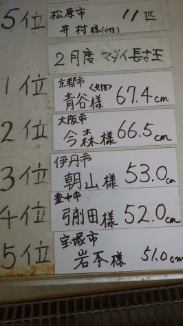 淡路じゃのひれフィッシングパーク 釣果