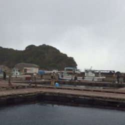 淡路じゃのひれフィッシングパーク 釣果