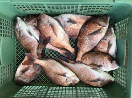 淡路じゃのひれフィッシングパーク 釣果