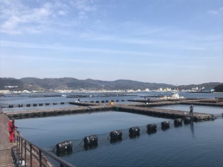 淡路じゃのひれフィッシングパーク 釣果